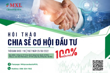 [Toạ đàm] Chia sẻ cơ hội đầu tư cùng MXL-Top1_20/08/2022